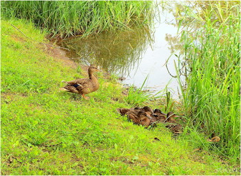 на отдыхе / ***