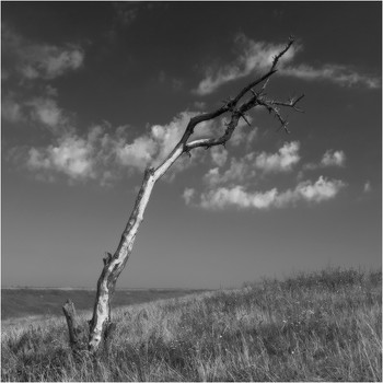 &nbsp; / ...оно бывает красивым...