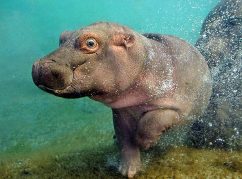 &nbsp; / Всем привет. Мне всего 3,5 недели