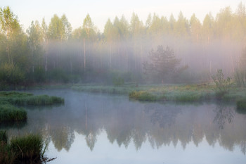 Рассвет на лесной речке / Сюжеты Мая.