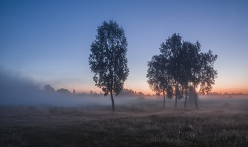 Досвітки лугові...Миколині тумани / https://photographers.ua/Farernik/