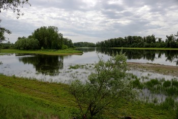 На протоке Енисея / Одна из проток Енисея.