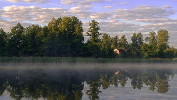 После восхода / Летнее утро на озере