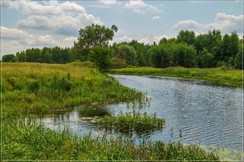 Жара, июнь 6 ...... / Жара, июнь 6 ......