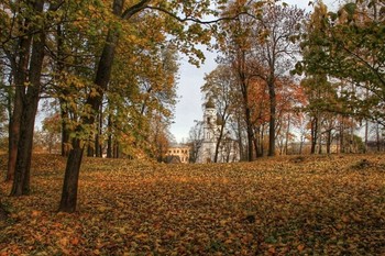 Краски осени / Ломоносов