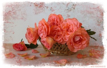 Розы / Альбом «Натюрморты»:
http://fotokto.ru/id156888/photo?album=63913