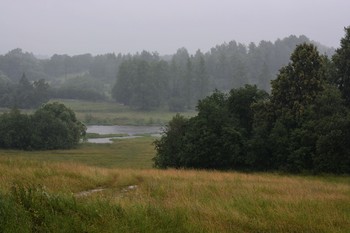 &quot;Сегодня холодно и сыро, и дождик сеет целый день...&quot; / &quot;Сегодня холодно и сыро,
 и дождик сеет целый день.
 Под пледом так уютно было
 Читать роман, лелеять лень.
 В клубок свернувшись по-кошачьи,
 Слегка дремать, мечтать чуть-чуть.
 И на работе не &quot;ишачить&quot; -
 хотя б денек ... Потом уснуть;
 а утром снова на работу,
 опять навалятся дела ...
 Где воскресенье, где суббота?
 Неделя новая пошла!&quot;
 Л.Воронова