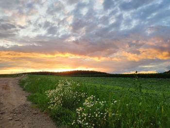 Знойный денек / Лето
