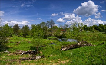 Жарким днем / ***