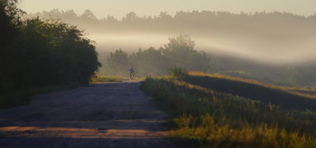Ранним утром / утро, туман, полесье, Беларусь