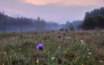 Утренняя июльская заря / Утренняя июльская заря
