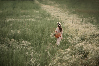 В ромашковом поле / девушка гуляет и собирает ромашки