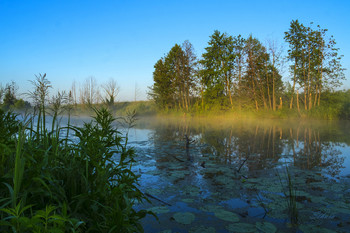 Утро на озере Омут. / Небольшое озеро на юго-востоке Московской области.