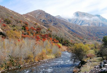 Осень в горах / Казахстан.Тургень