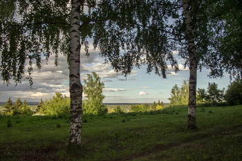 С берёзками / Вятка