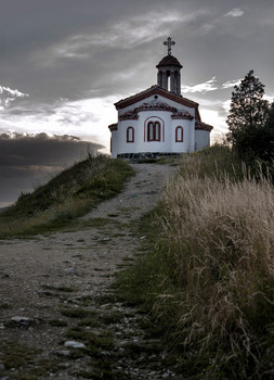  / Природа и животные