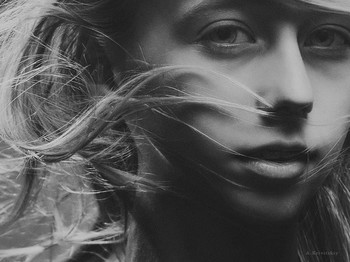 Alexander Krivitskiy / ***