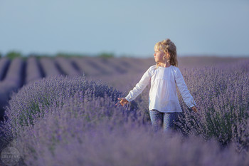 ~ / agata hanansky, агата хананская, лаванда, lavender, lavender field, лавандовое поле, fields of lavender, lelyana, Леляна Маркина, lelyana photography, lelyana markina, блондинка