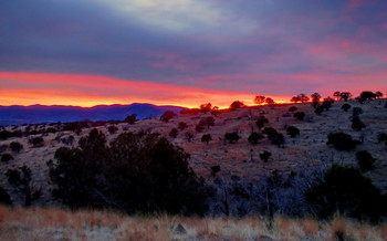 &nbsp; / вообще-то закатов снимать не люблю ... но это же - Нью Мексика! - экзотика...