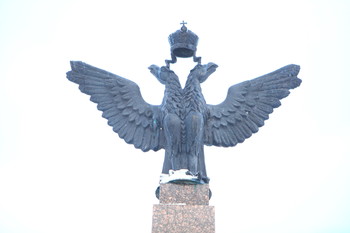 brilevskoe pole / brilevskoe pole
