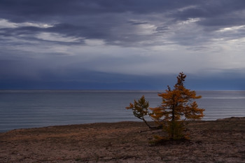 На Ольхоне пасмурно / ***