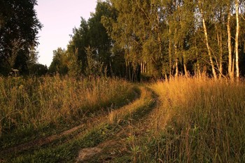 Дорожка утра / Просёлочек...
