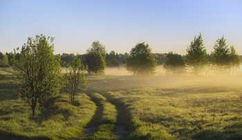 Солнце сквозь туман / Деревенскими дорогами.