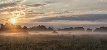 Вівці мої, вівці... Миколині тумани... / 21.07.2019