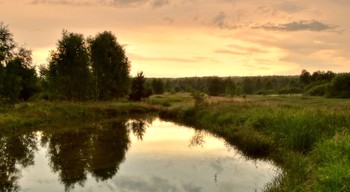 Июльский вечер / Июльский вечер на природе