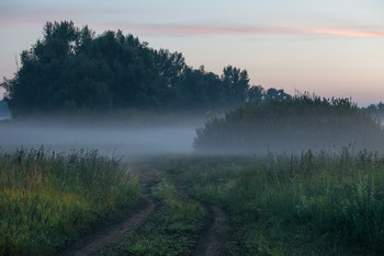 &nbsp; / туман,дорога,рассвет