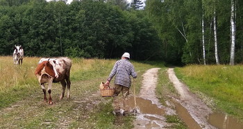 Встреча у леса / Далеко, мужичок, путь держишь?