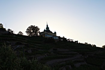 &nbsp; / Ein beginnender Sommertag am Weinberg in Radebeul