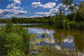 Жарким днем / ***