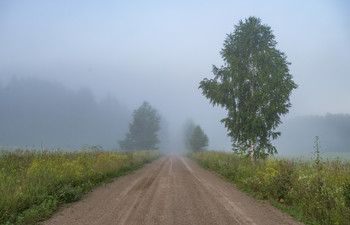 Дорога в безмятежность... / Утренний туман около д.Моховое Кунгурского района.Пермский край