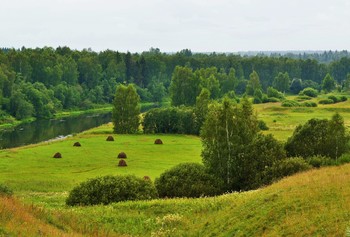 &quot;Стог сена. Июль. Загудели шмели ...&quot; / &quot;Стог сена. Июль. Загудели шмели
 над клевером нежным, пахучим и томным.
 Щетинились елками дебри вдали.
 Темнело, и туча ответила громом ...
 Жара вперемежку с дождями. Июль.
 Прекрасный, жемчужно-лиловый, бессонный ...&quot;
 В.Соколова