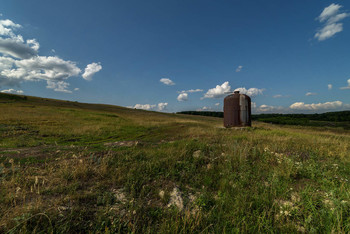 Пепелац / село Торновое Самарская область