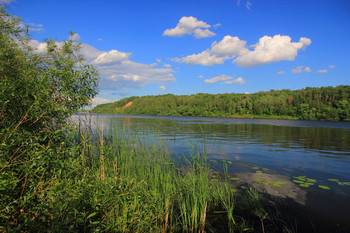 На реке. / Ока