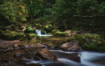 Шумит Рожок... / Карачаево-Черкессия, начало октября. Горная речка Рожкао (местн. Рожок), приток Большой Лабы.