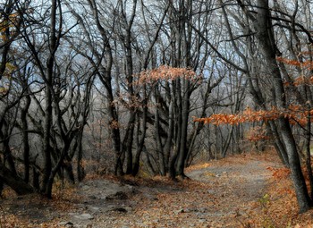 Дороги осенние........ / Железноводск. Октябрь