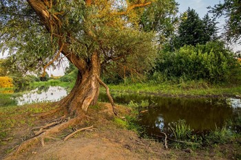  / окрестности п.Красницкий,Татарстан