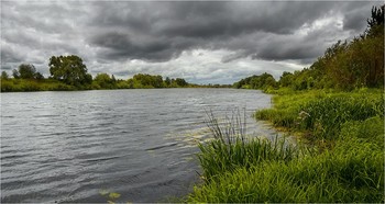 Лето с осенним ветерком / ***