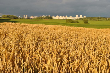 &nbsp; / Игра света