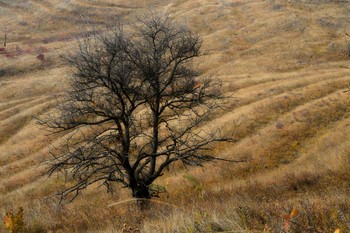 Кавказская осень.... / Железноводск. Октябрь