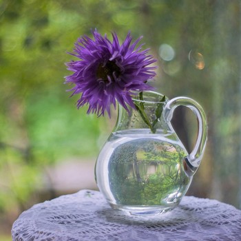 "Август - астры, август - звезды..." / ***