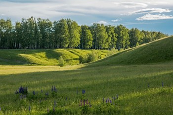 &nbsp; / окрестности п.Новочувашский,Татарстан