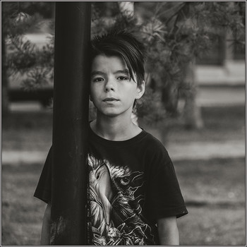 229 / вечером