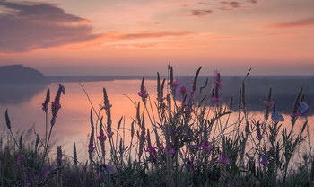 Evening ... River ... Flowers and butterflies / Вечер на реке.....