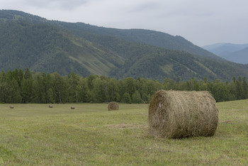 Последний месяц лета / ...