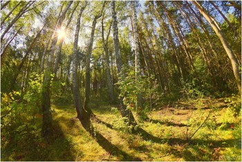 Последний месяц лета / ***