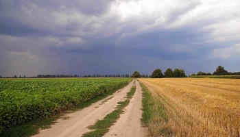 перед грозой / Август.Летние грозы...